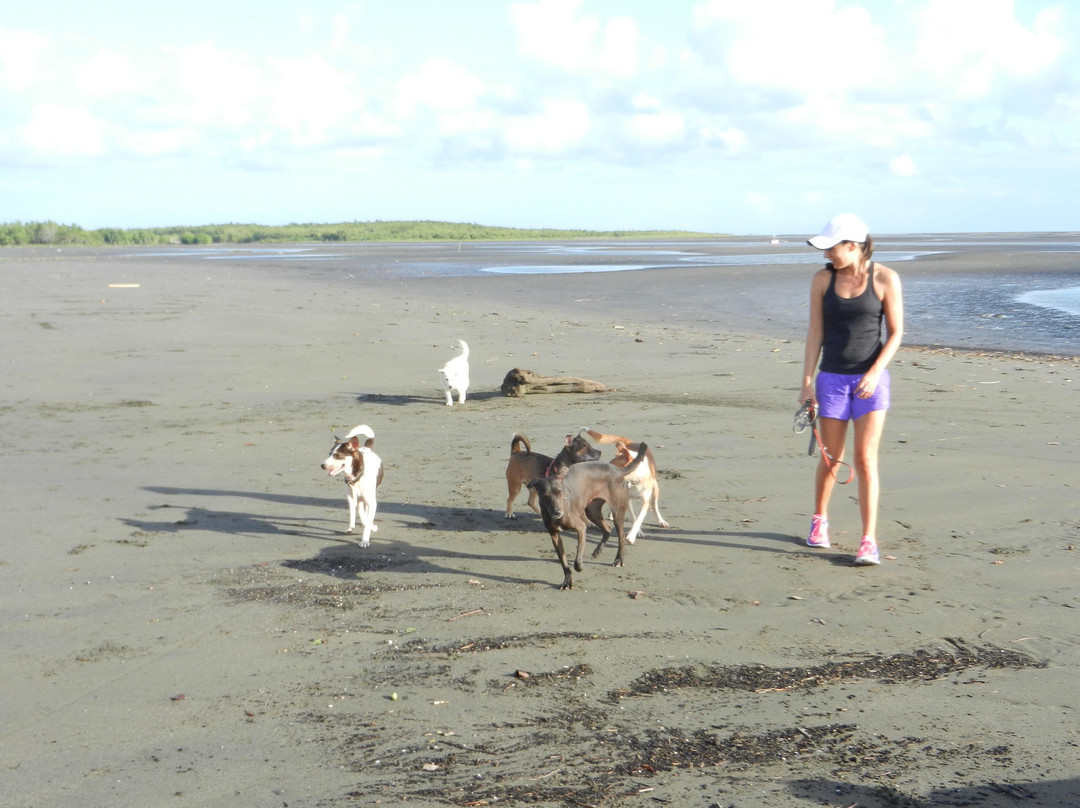 Aklan Animal Rescue & Rehabilitation Center-卡利波必去景点