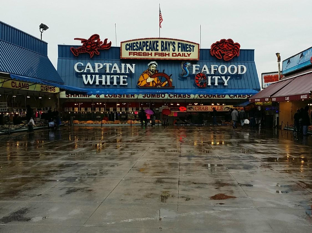 Captain White’s Seafood City景点图片