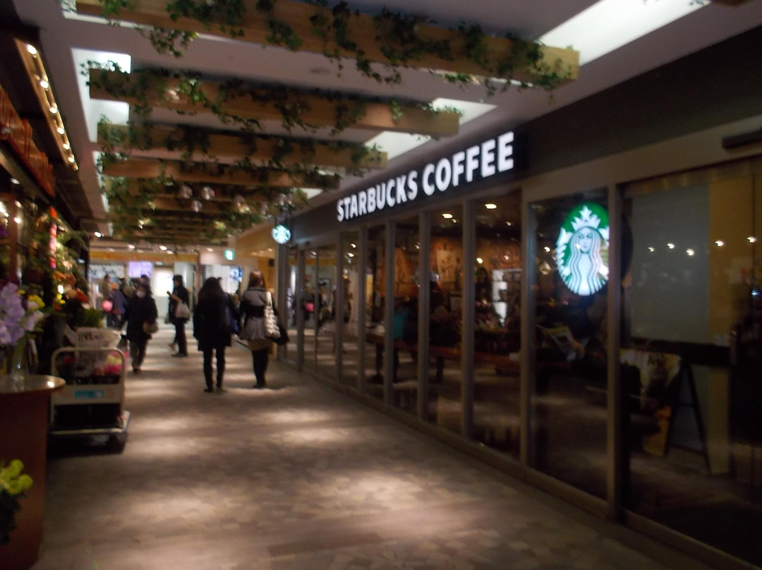 スターバックスコーヒー 松戸ボックスヒル店