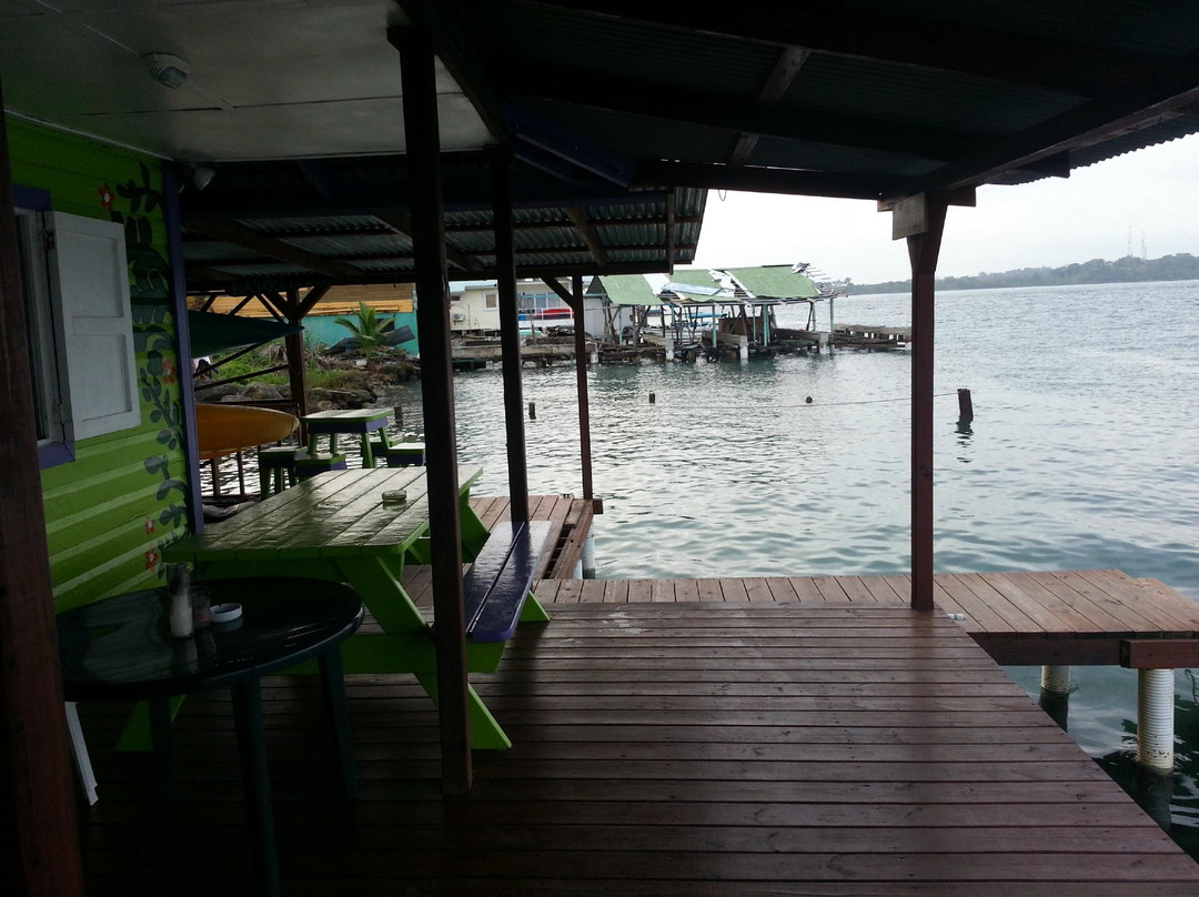 Bocas Surf School & Hostel景点图片