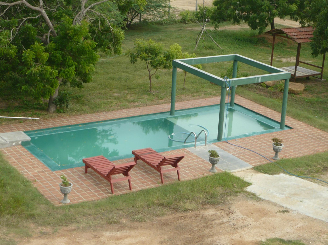 Crazy Peacock Holiday Resort主图