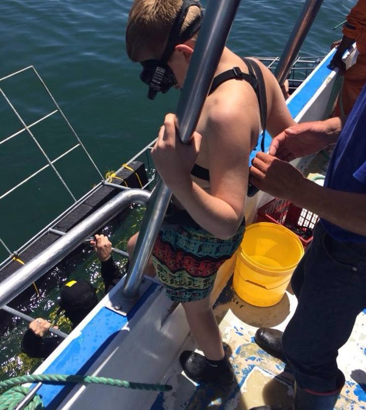 I Did Africa - Shark Cage Diving-干斯拜必去景点