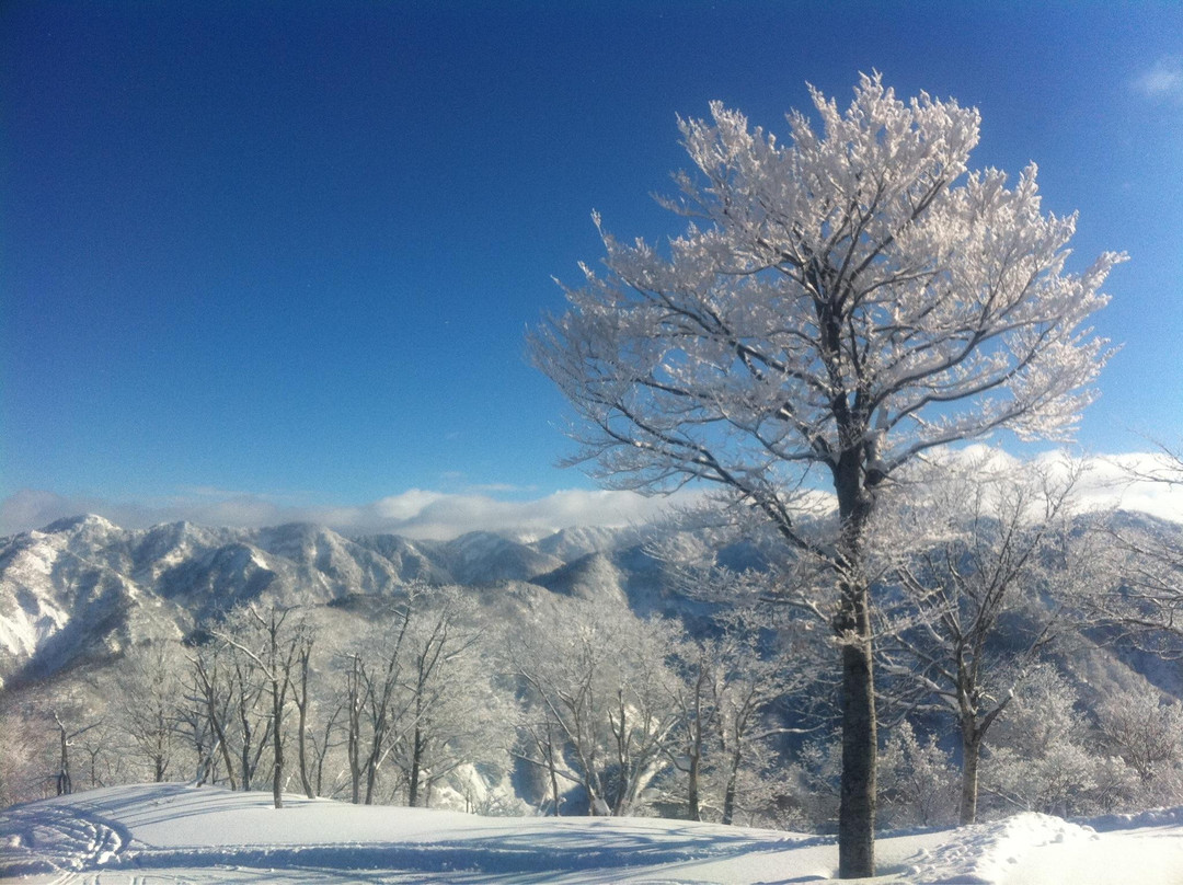 Hakusan Seymour Ski Resort景点图片