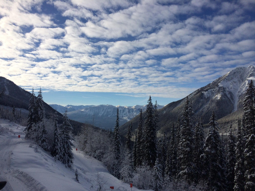 White N’ Wild Snowmobile Tours-戈尔登必去景点