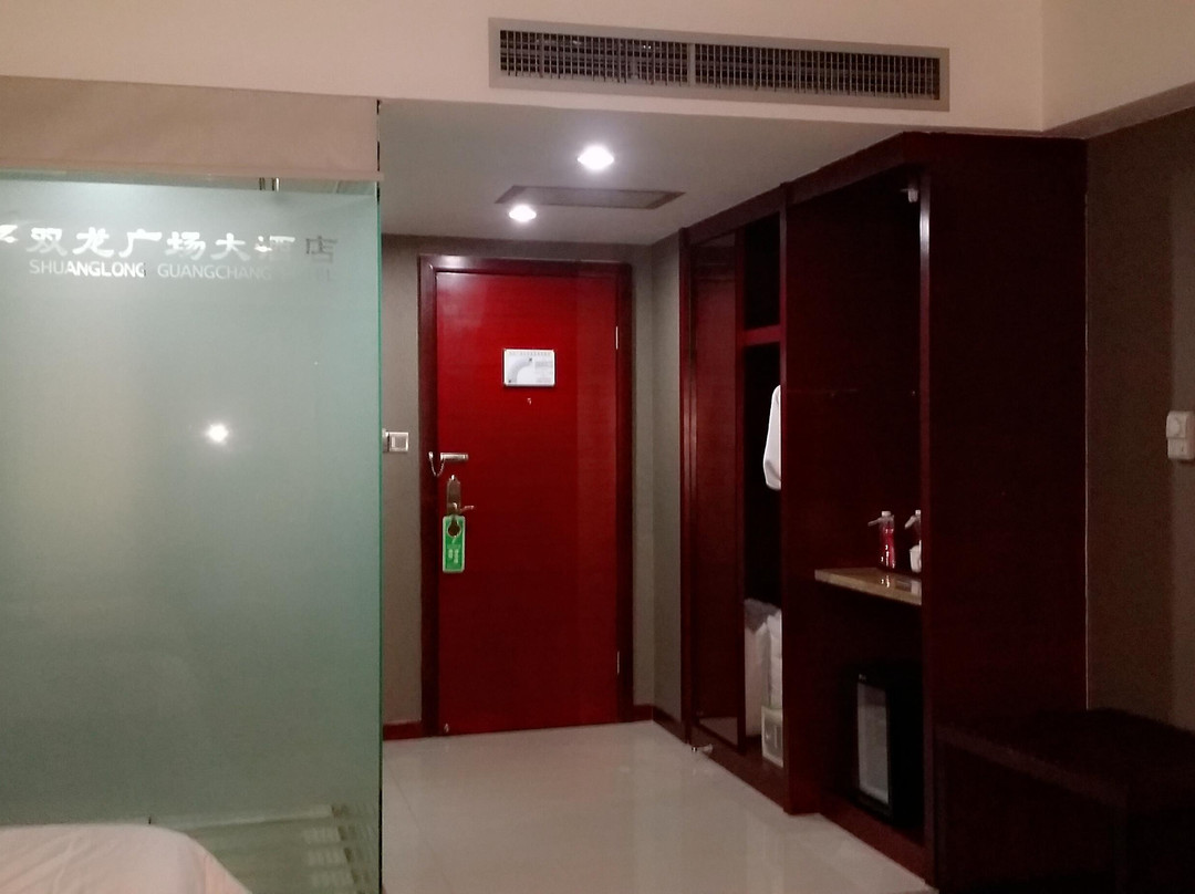 双龙广场大酒店主图