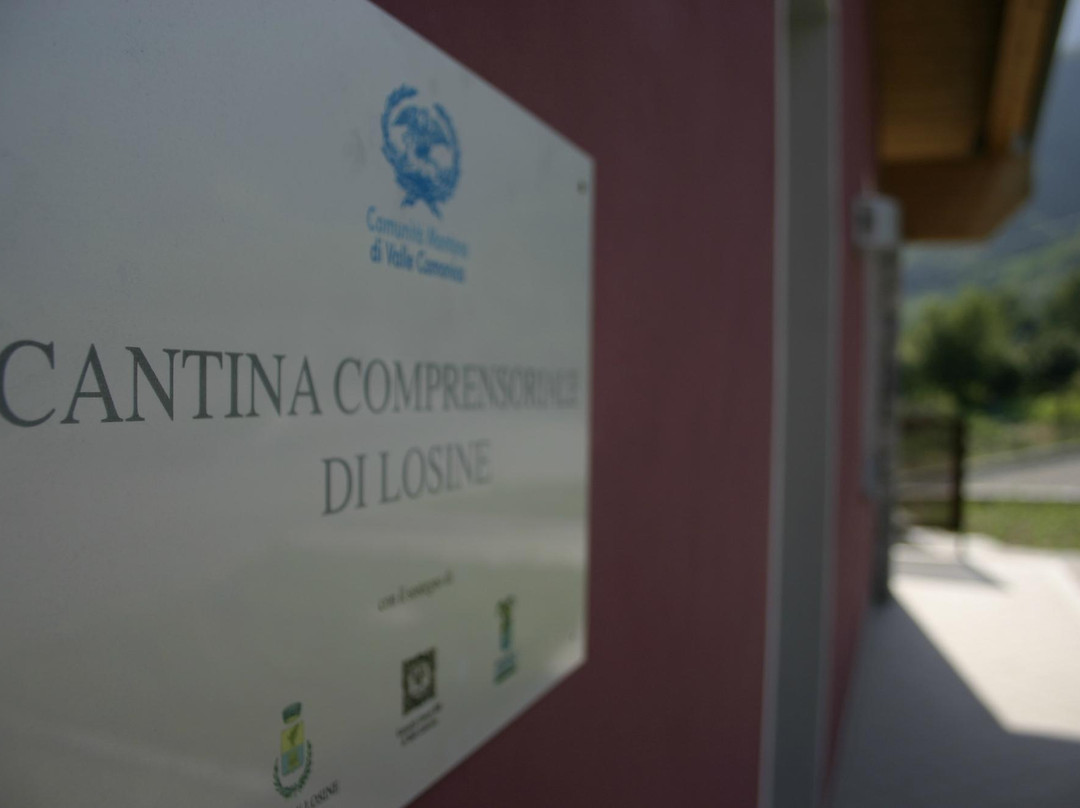 Cantina Rocche dei Vignali景点图片