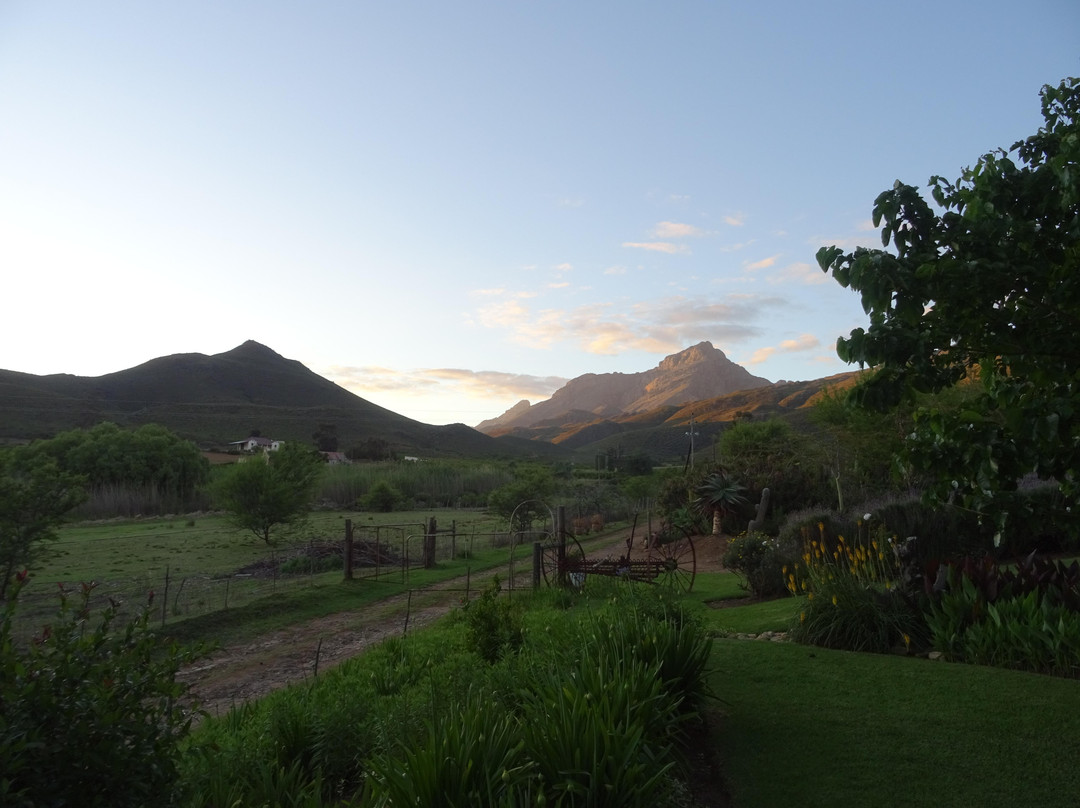 Ladismith Country House: Spiritual Retreat & Guesthouse主图