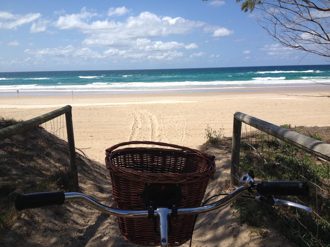 Gold Coast Bike Tours-冲浪者天堂必去景点