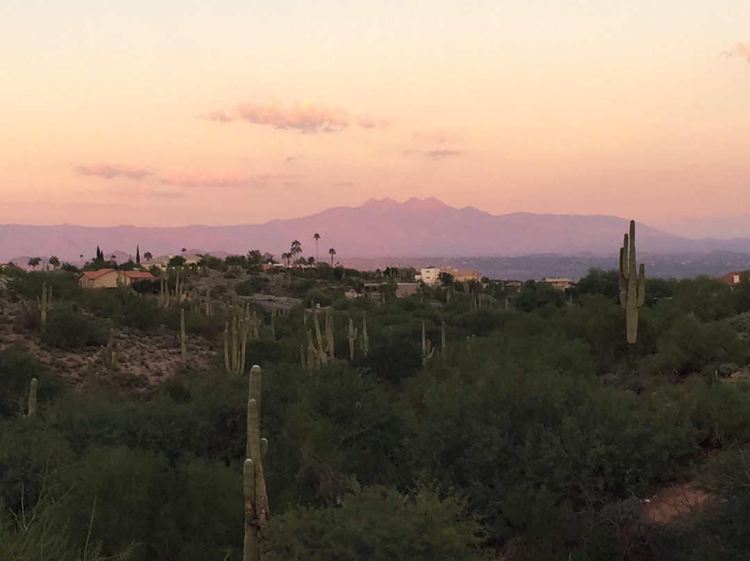 Fountain Hills Botanical Garden-Fountain Hills必去景点