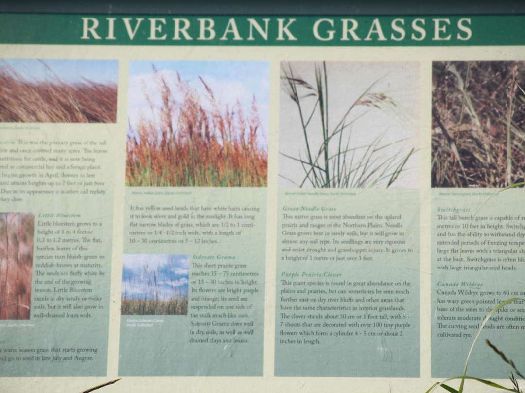 Riverbank Discovery Centre-布兰登必去景点