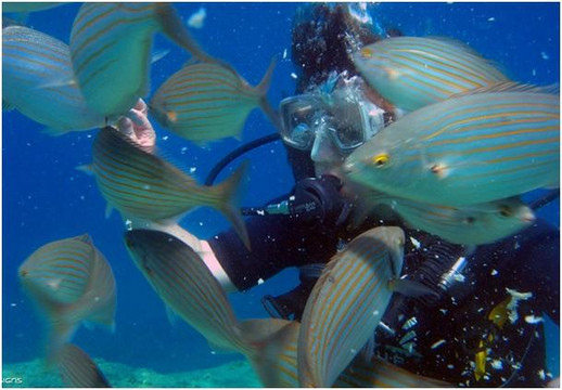 Rodos Diving Center-罗德斯必去景点