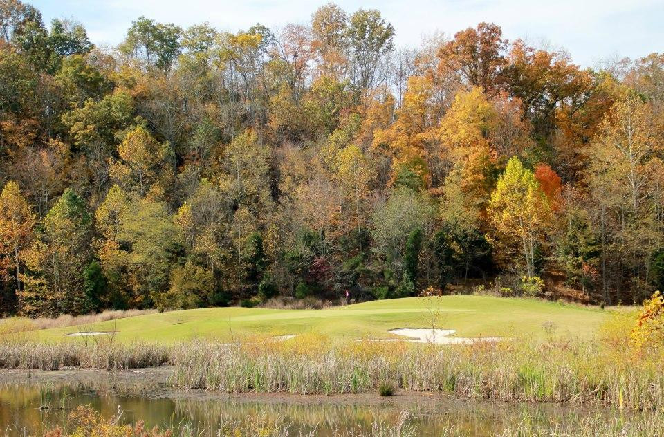 Cattails at Meadowview-金斯波特必去景点