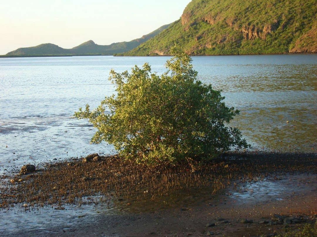 Cueva de los Murcielagos-锡那罗亚必去景点