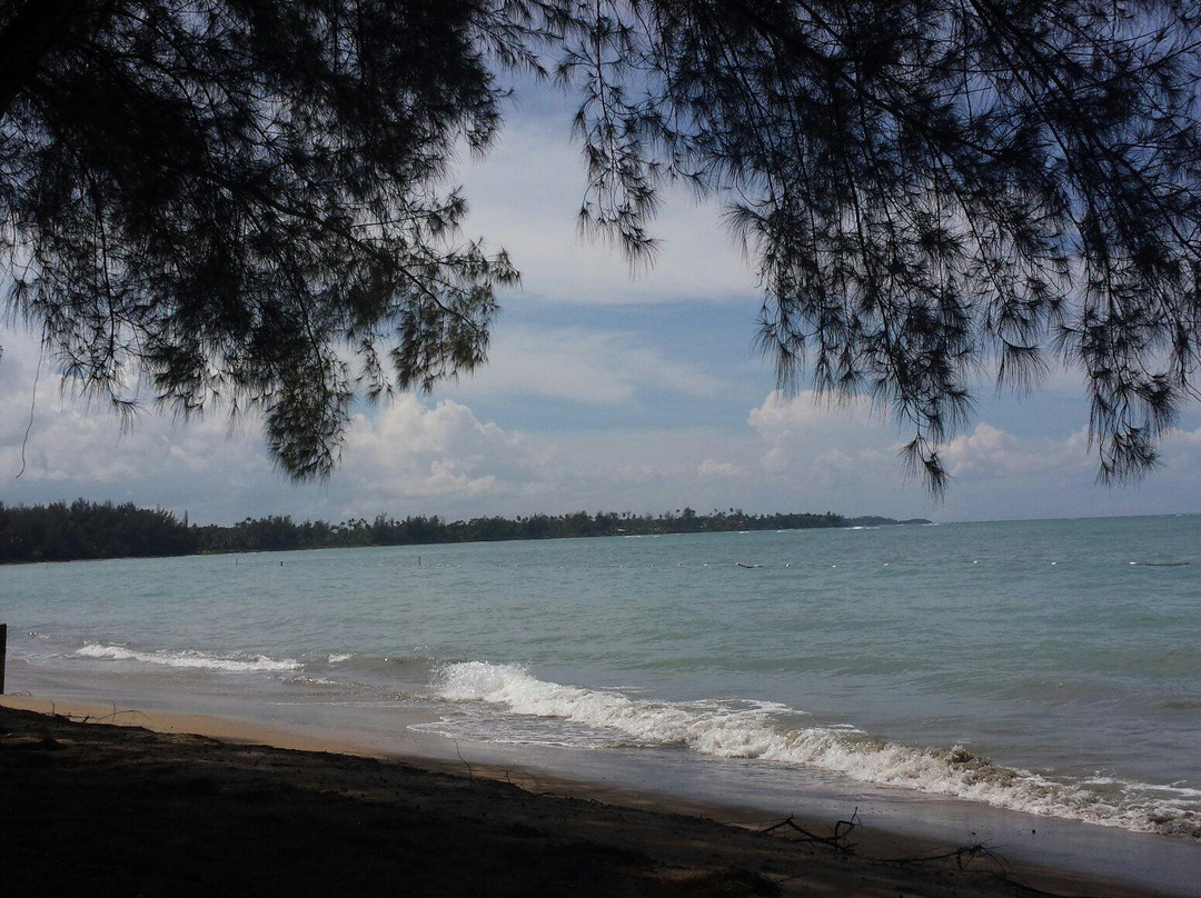 Dorado Beach, A Ritz-carlton Reserve-多拉多必去景点