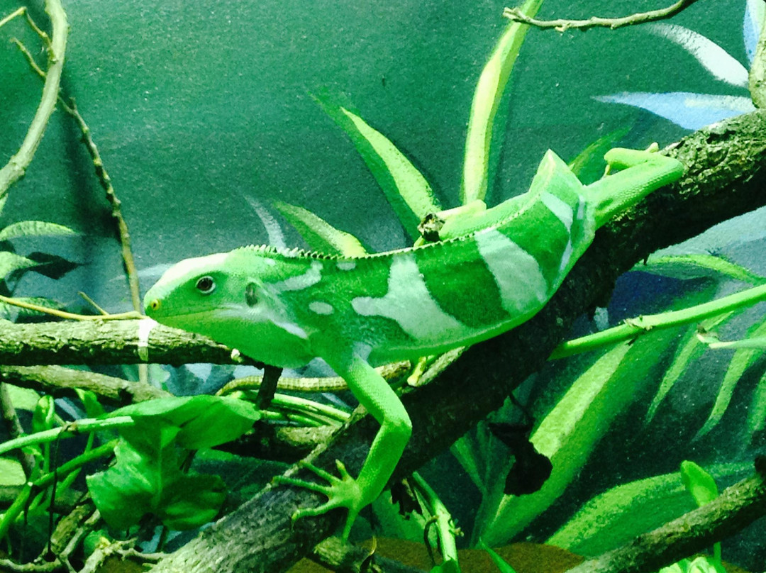 Real Zoo Thailand-乌太必去景点