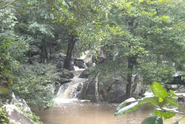 Phu Pha Lek National Park-颂佬必去景点