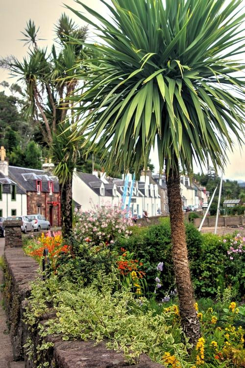 Plockton Harbour景点图片