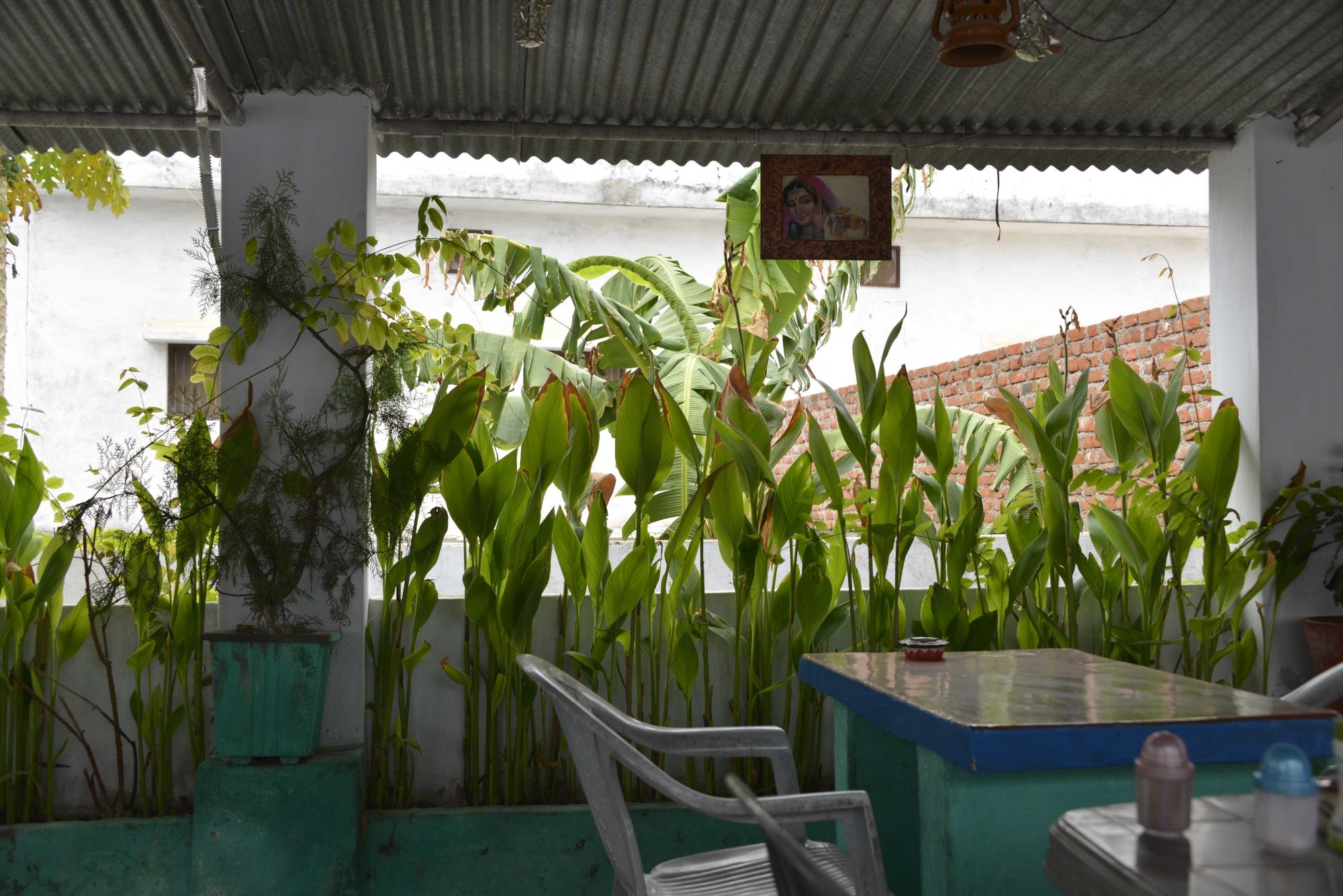 Hotel Yogi Lodge-餐饮