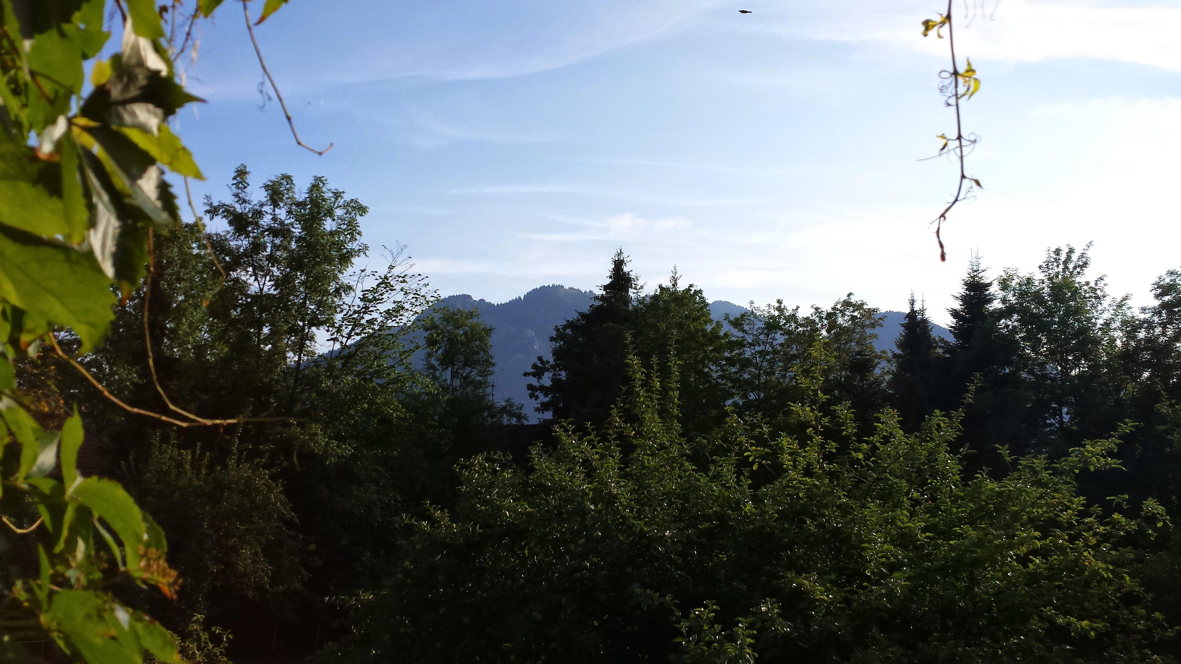 Gaestehaus Fellerhof-客卧