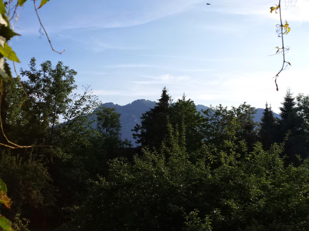 Gaestehaus Fellerhof主图