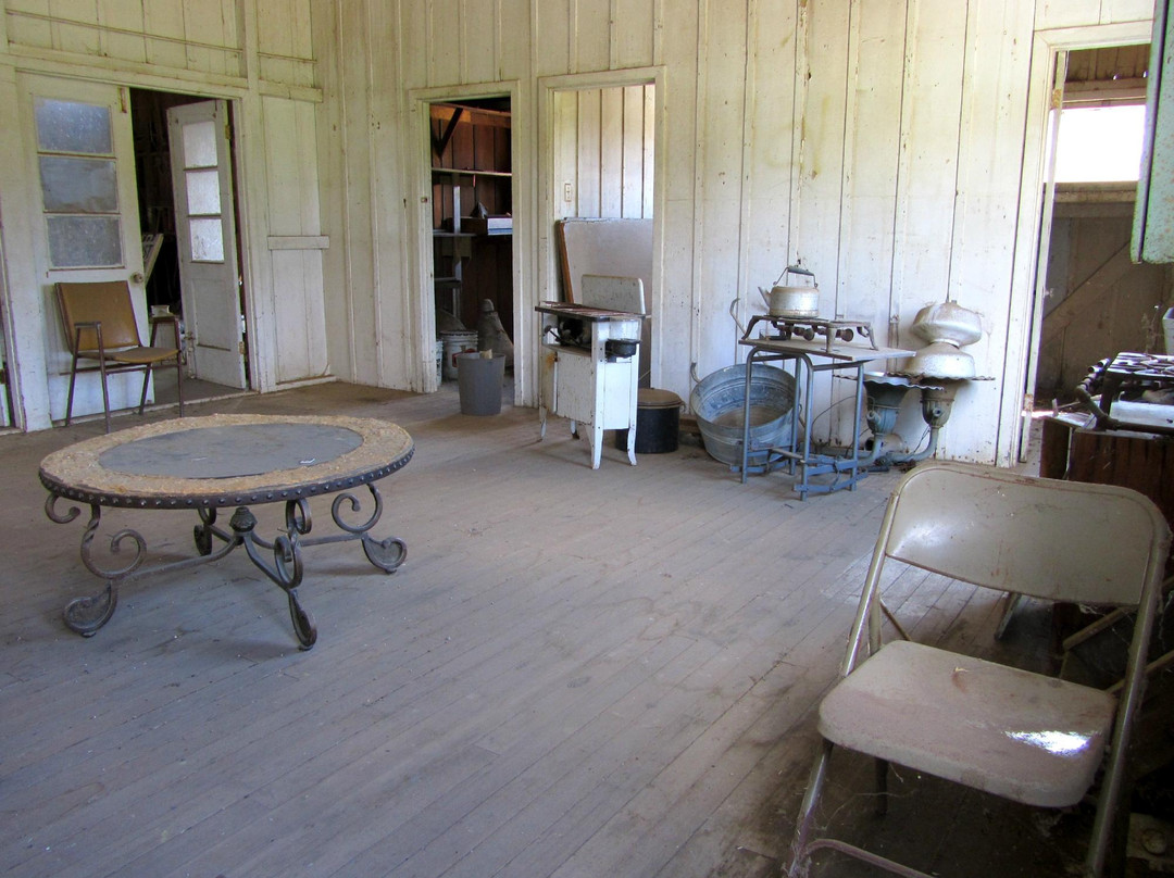 Weedpatch Camp-贝克斯菲尔德必去景点