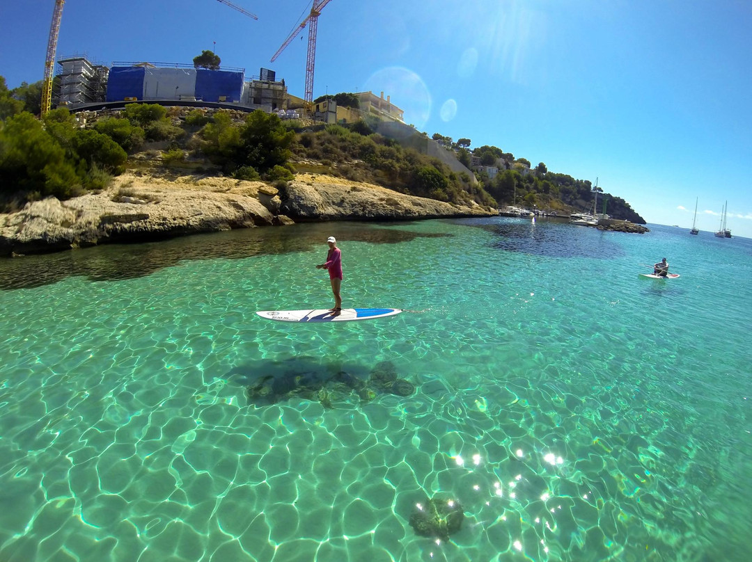 Mallorca Stand Up-Palmanova必去景点