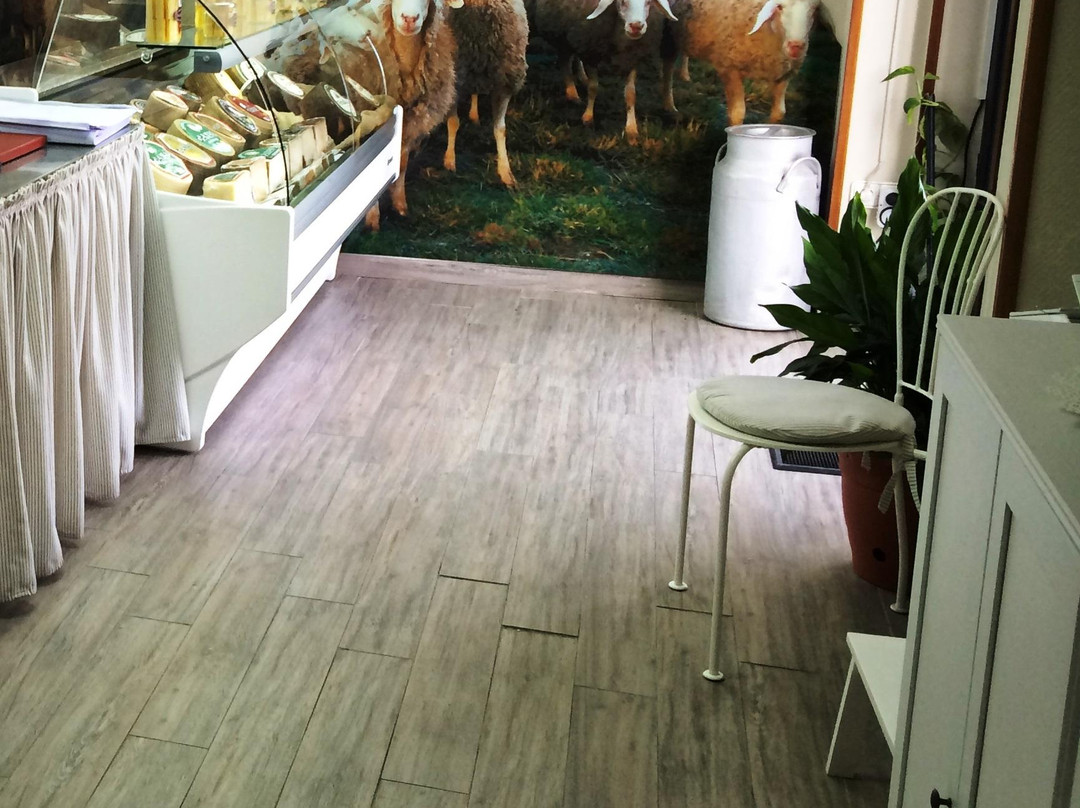Queseria Quesos Canal景点图片