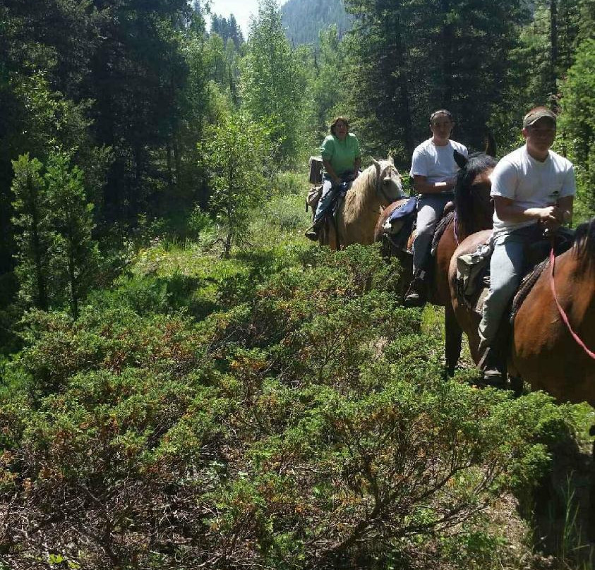 Jackson Hole Pack Trips and Trail Rides-杰克逊必去景点