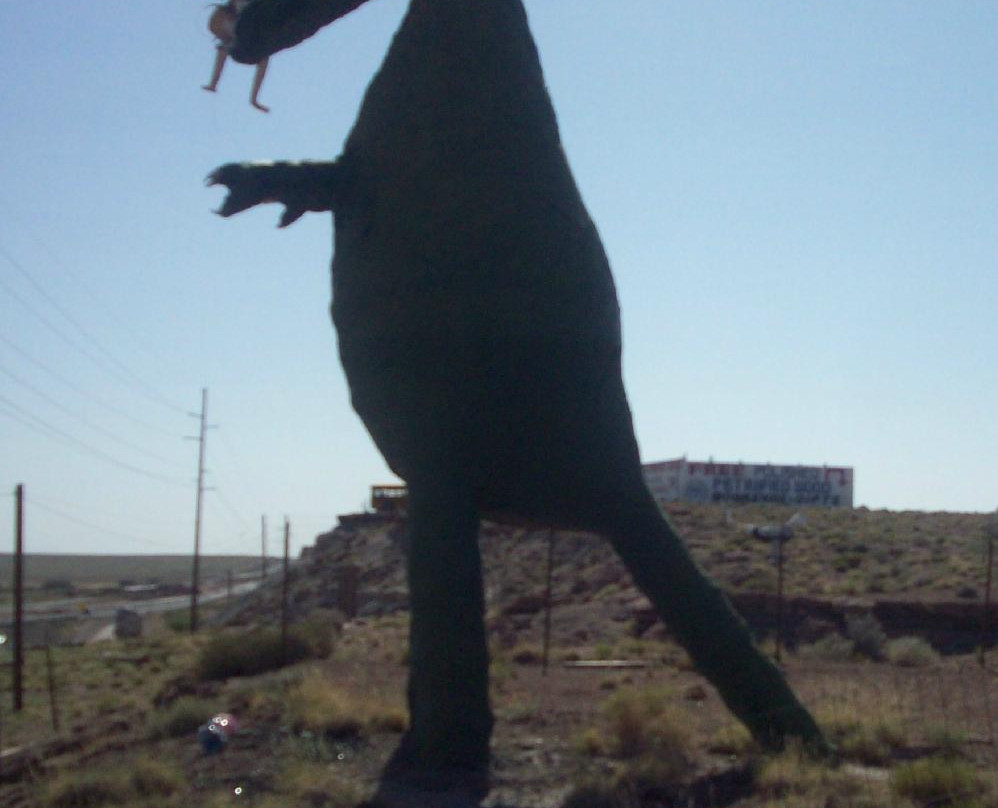 Stewart's Petrified Wood-霍尔布鲁克必去景点