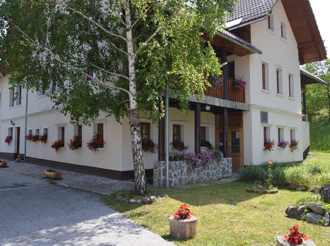 Cerkno酒店住宿-Sostar Guest House