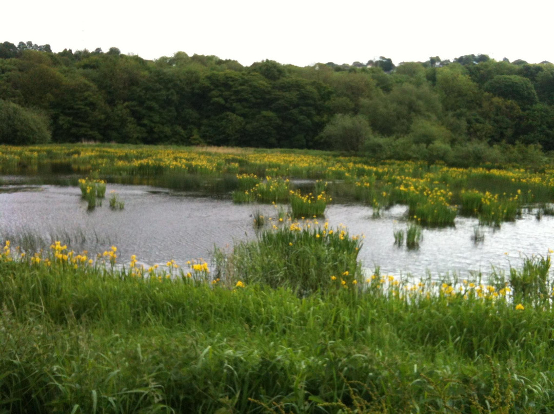 Rodley Nature Reserve-利兹必去景点