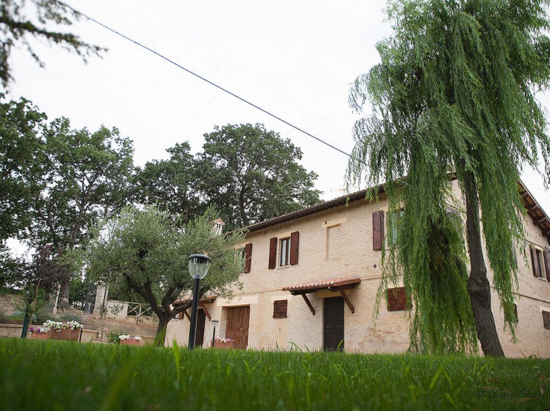 Offida酒店住宿-B&B San Barnaba