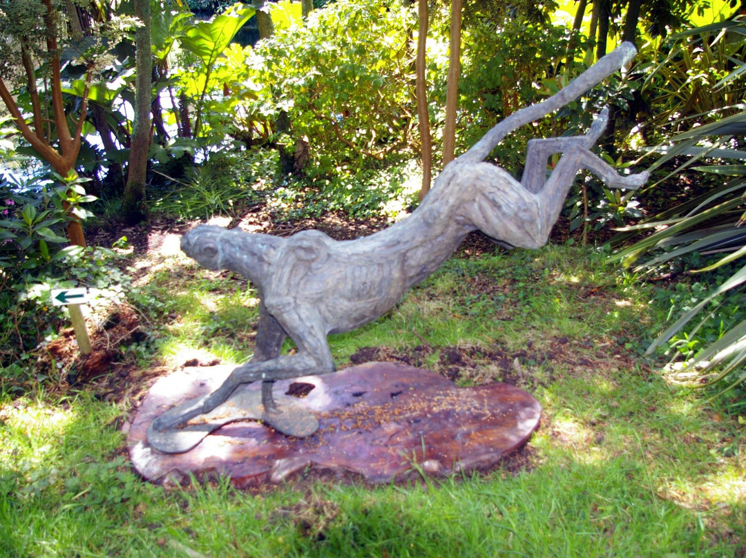 Wild Subtropical Garden-St Martin必去景点