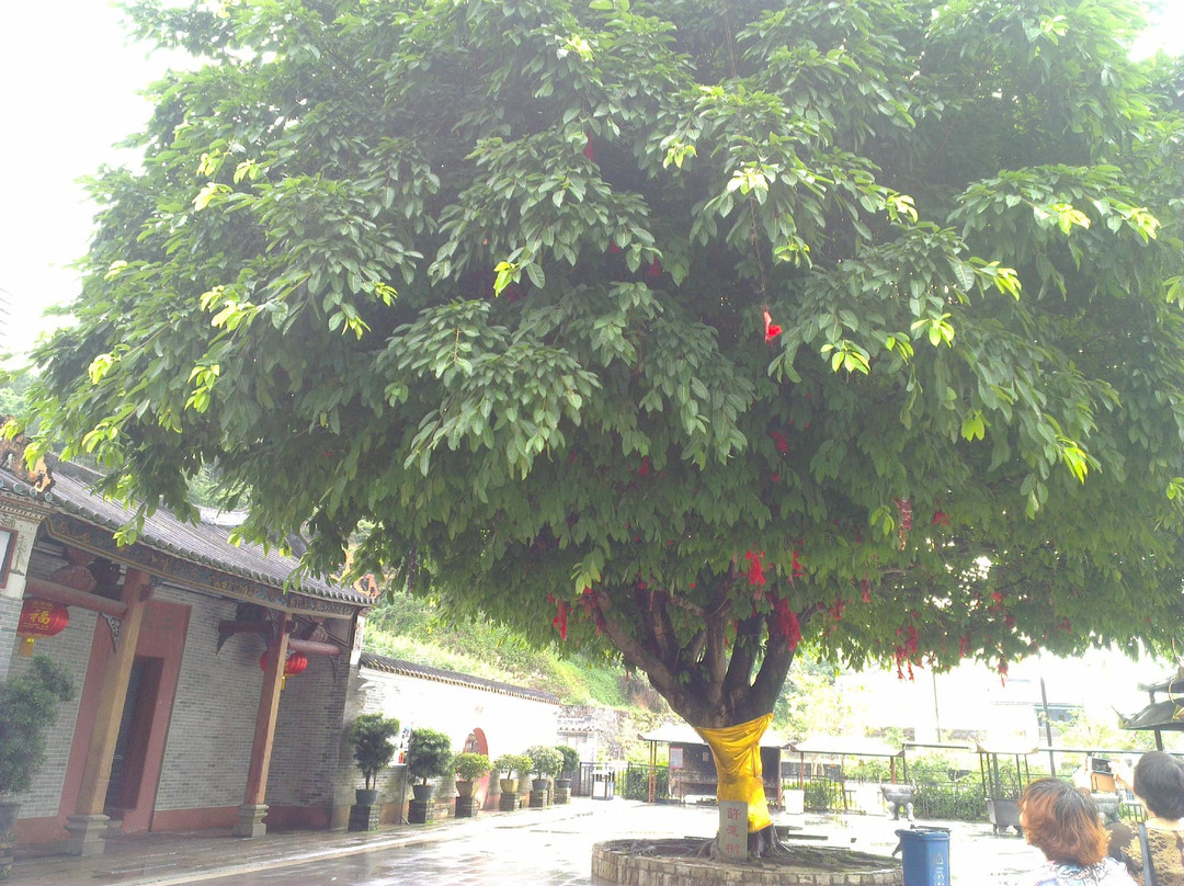 小楼仙源-增城市必去景点