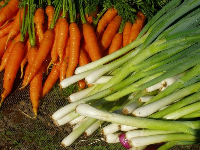 Kupa'a Farms-库拉必去景点