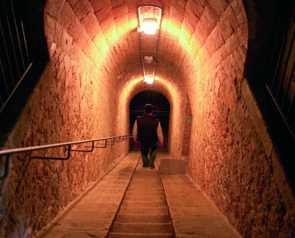 Conti Faina Winery-San Venanzo必去景点