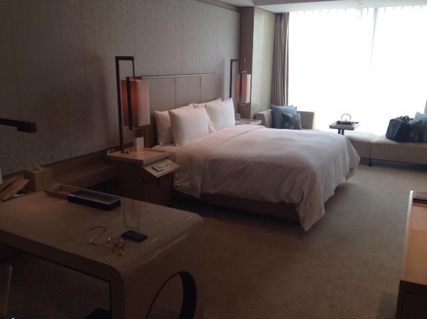 北京康莱德酒店-客卧