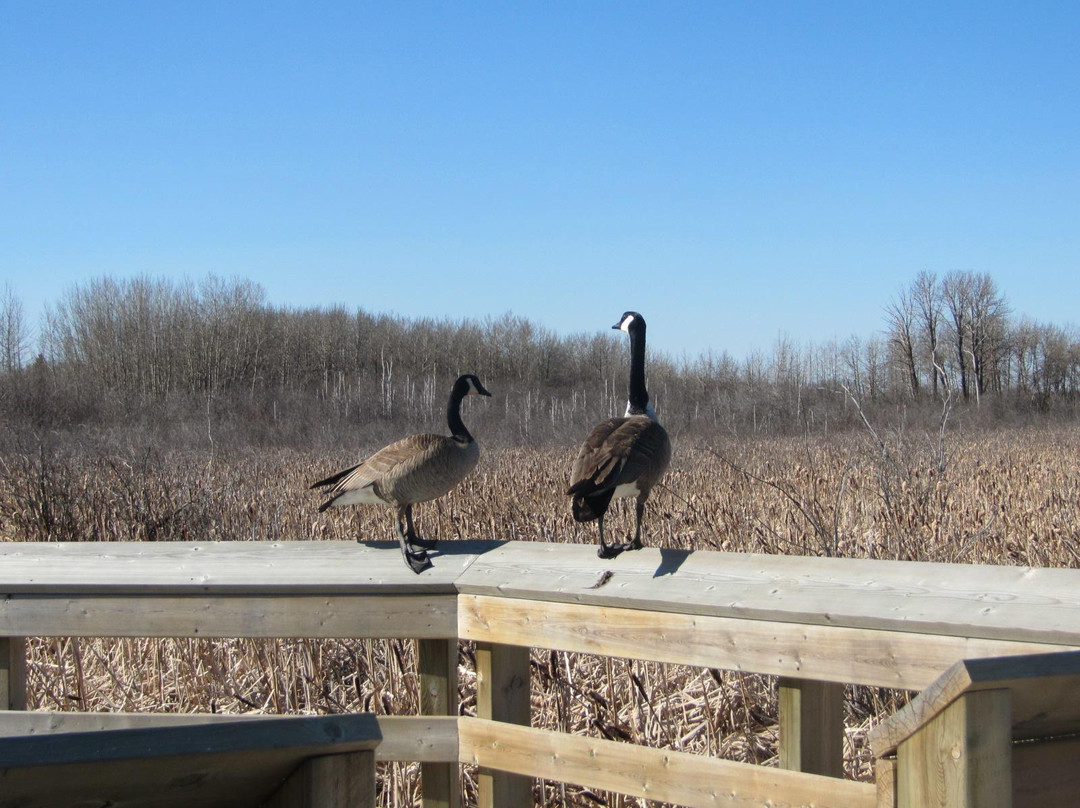 Lois Hole Centennial Provincial Park-圣艾伯特必去景点