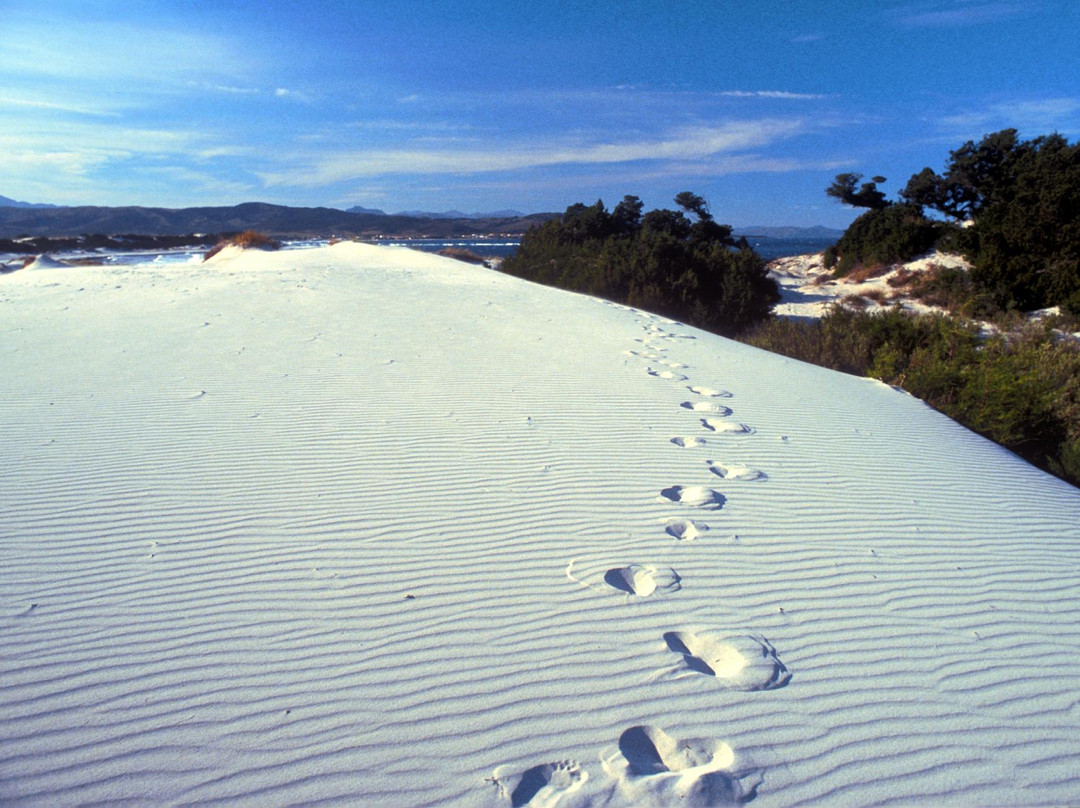 B&B I Gelsomini主图