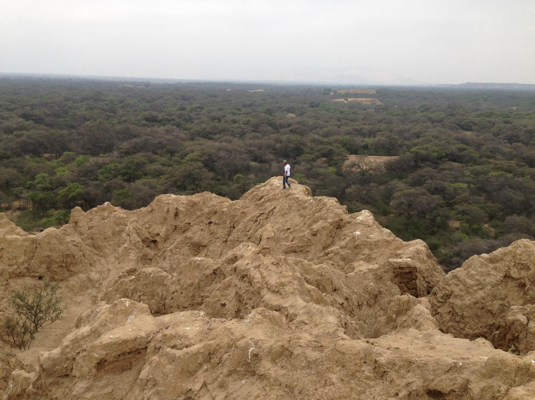Santuario Histórico Bosque de Pómac-Ferrenafe必去景点