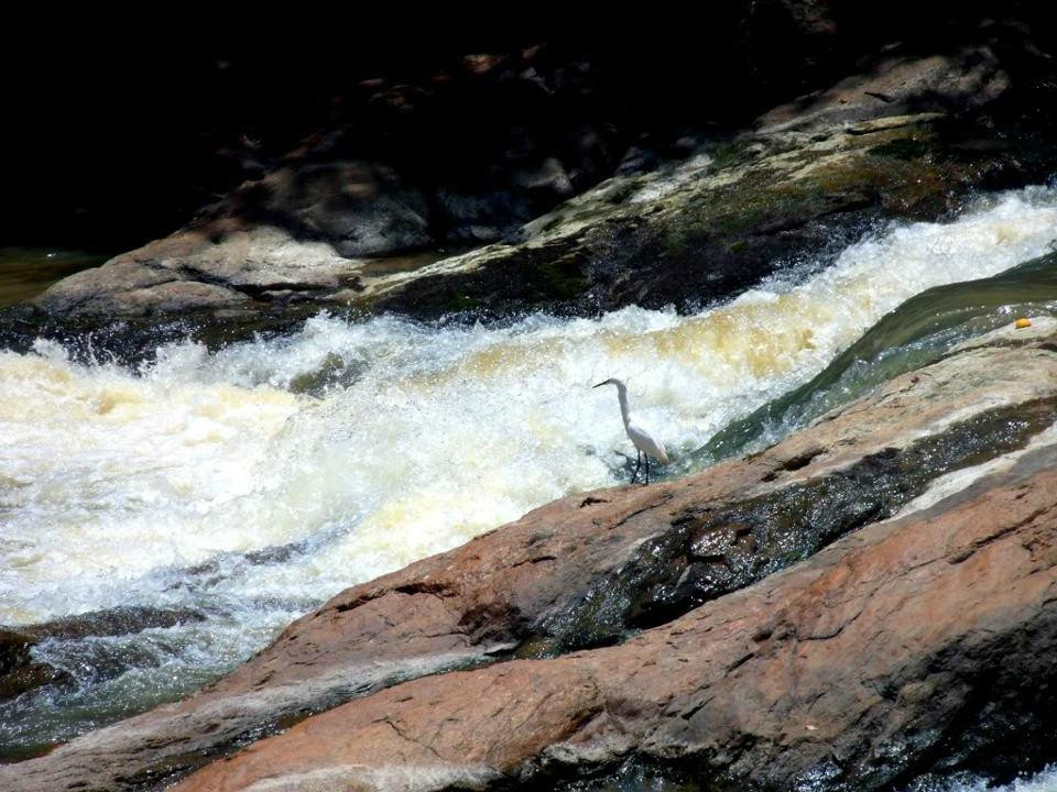 Parque Dos Ingas-Mogi Guacu必去景点