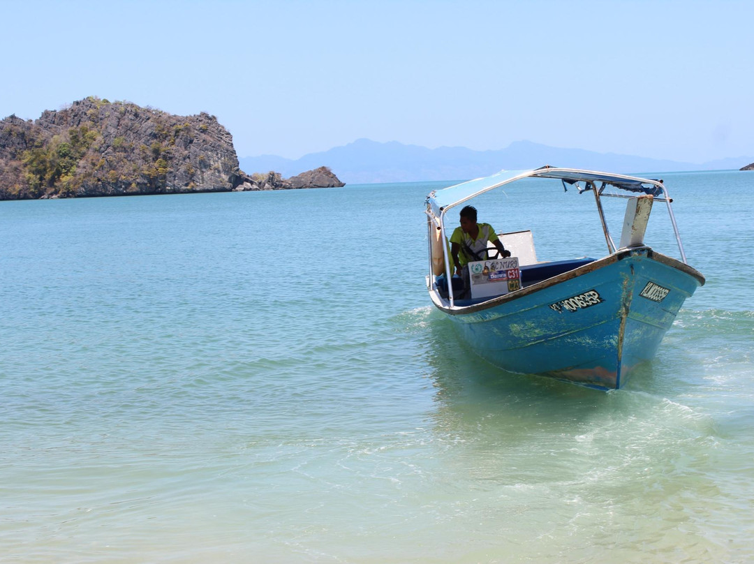 Natasha's Mangrove Nature Tour-兰卡威必去景点