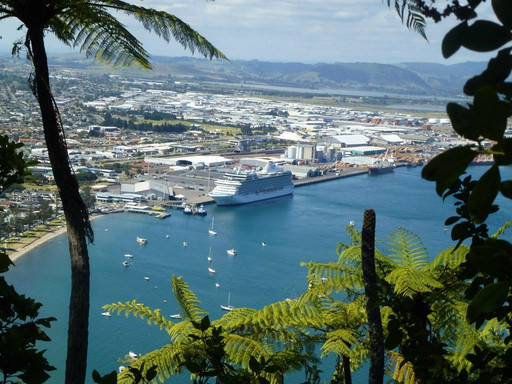 Shore Trips & Tours-芒格努伊山必去景点