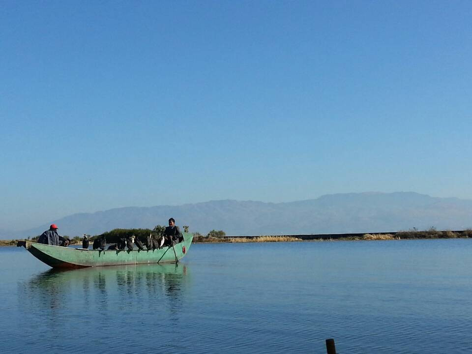 洱海湖景点图片