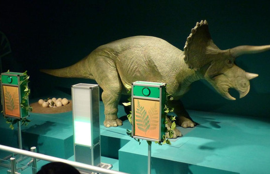 香港科学馆-香港必去景点