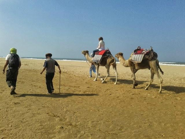 Aztat Treks-伊姆利勒必去景点