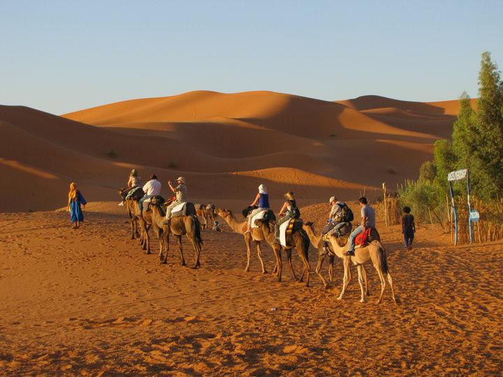 Morocco Travel Excursion景点图片