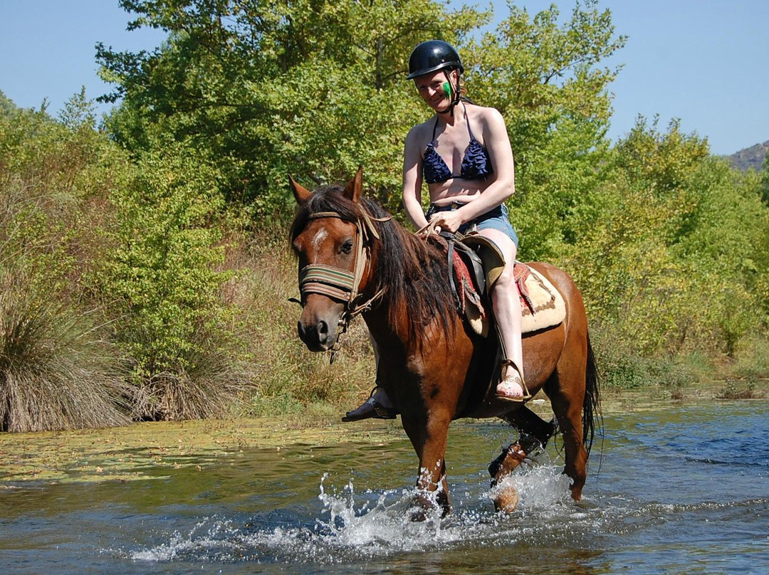Pinar Horse Safari景点图片