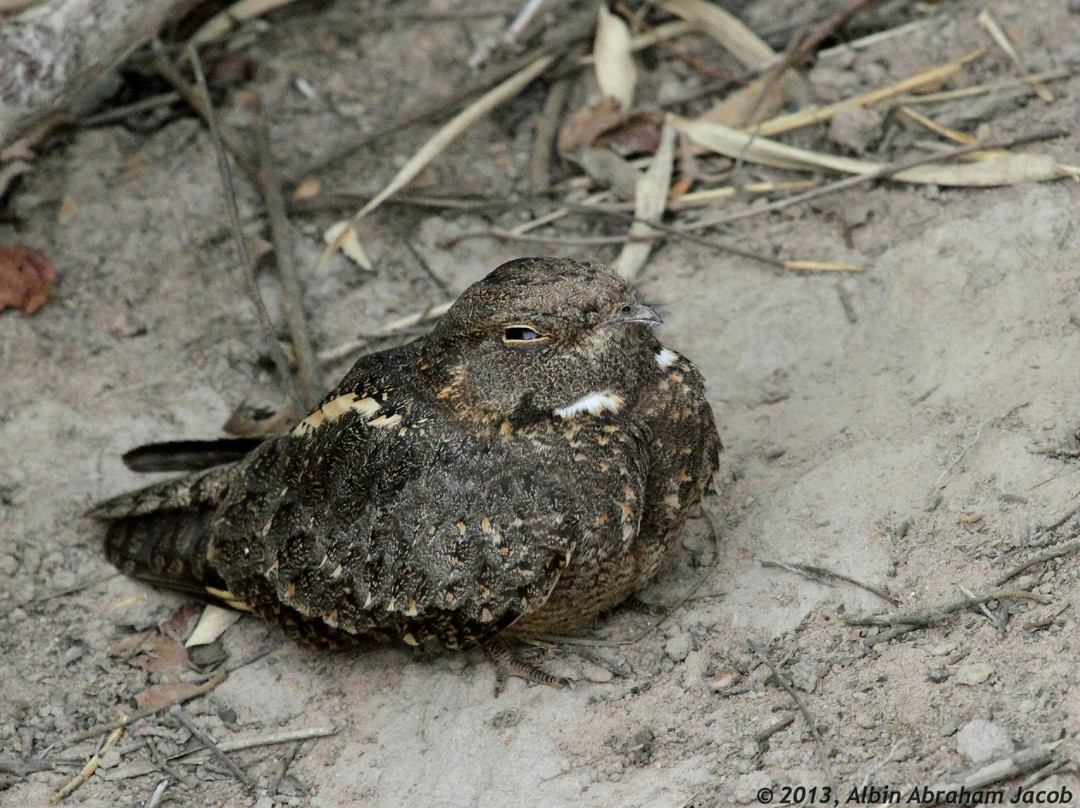 Chava Kolara Resort主图