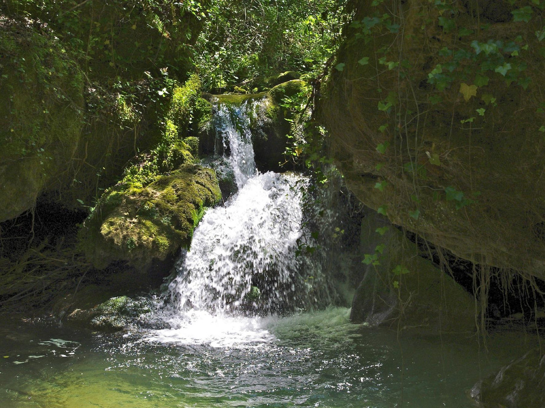 Alento River景点图片